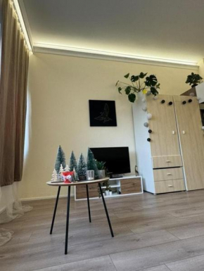 Luxury Studio Apartment